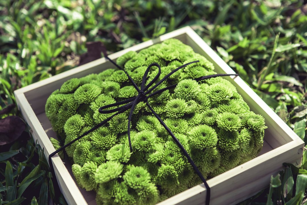 【婚礼订制】自然系 · 独家限定手作戒枕 - 干燥花/捧花 - 植物．花 绿色