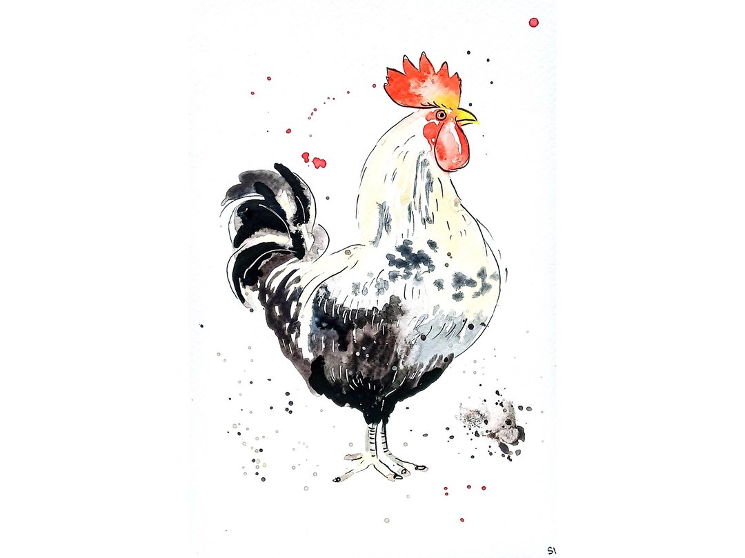 Rooster Painting Farmhouse Original Art Bird Watercolor Artwork 6 x 9 in - 墙贴/壁贴 - 纸 多色