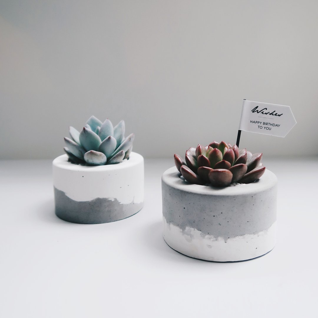 LITTLE CAKE 小圆蛋糕 | 双层鲜奶油水泥盆器・组盆花器 - 花瓶/陶器 - 水泥 白色