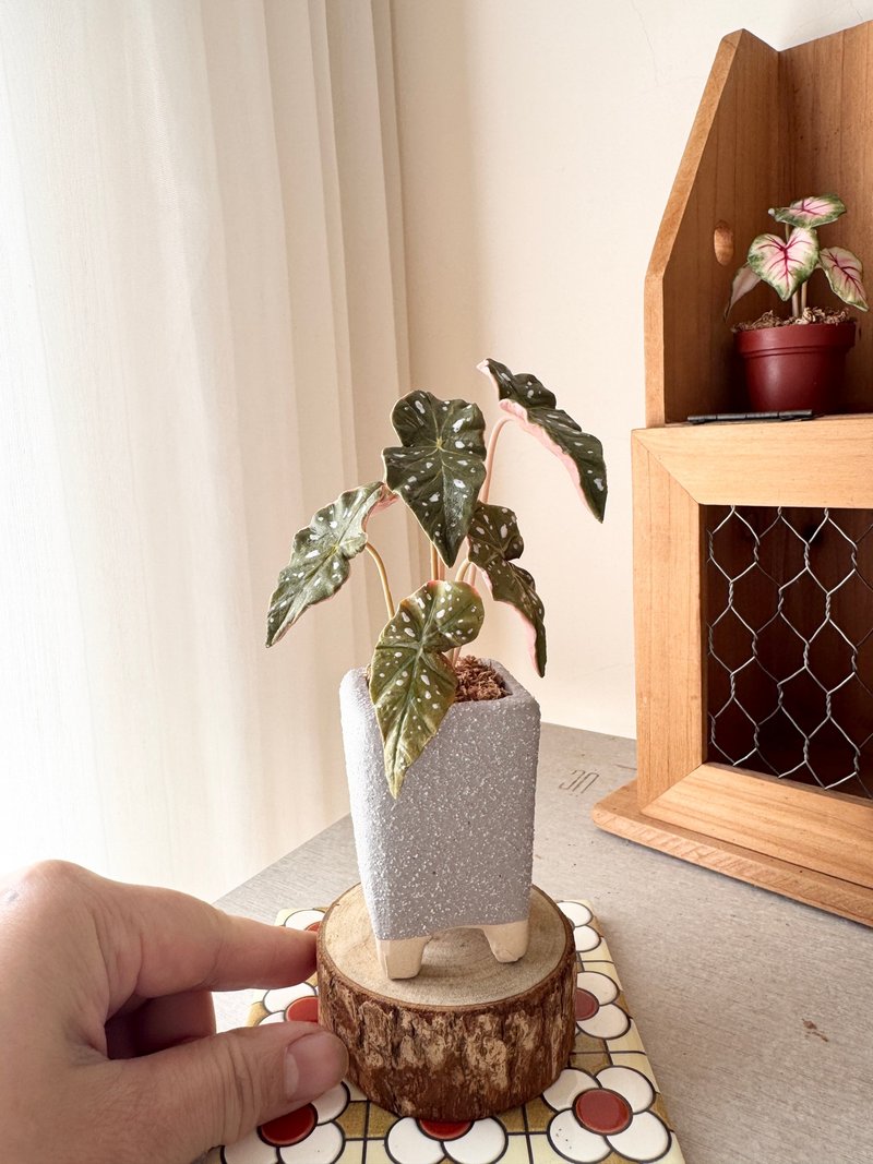 手作扩香石膏黏土-观叶植物 - 香薰/精油/线香 - 其他材质 绿色