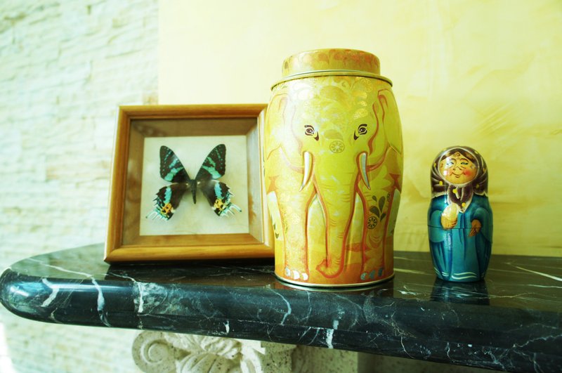 【绝版】阳光派对大象茶罐(内含柠檬红茶/20个原叶三角立体茶包) - 茶 - 新鲜食材 黄色