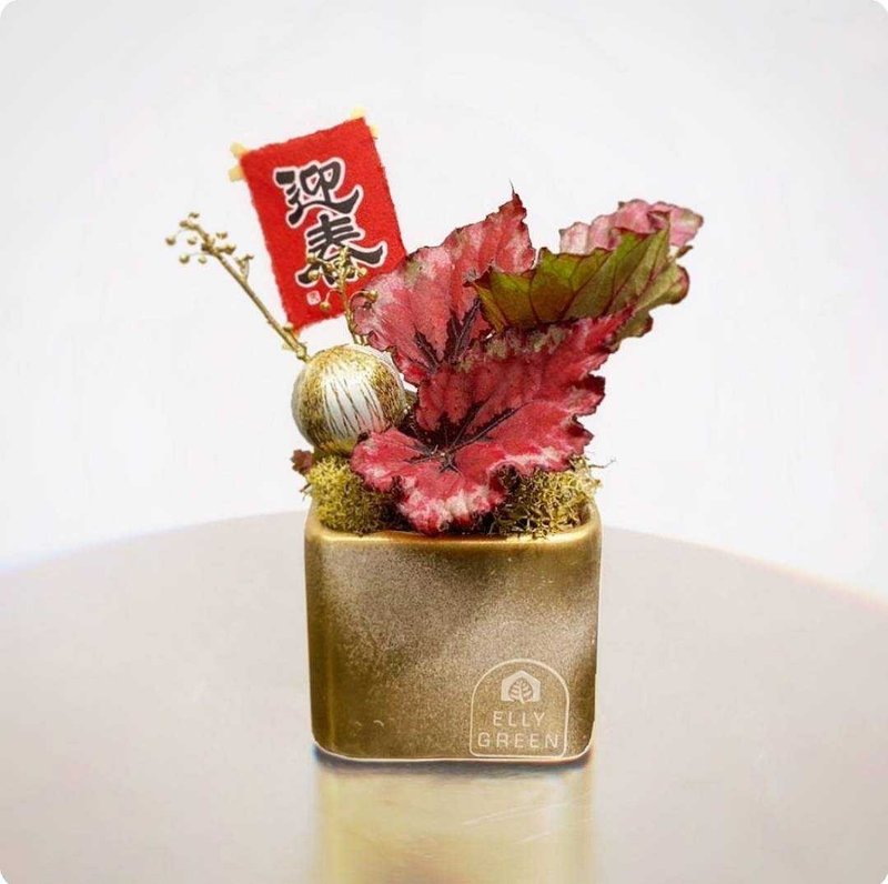 【可定制年节盆栽】定制报价 / 新年送礼 / 质感盆栽 / 桌上型盆 - 植栽/盆栽 - 植物．花 
