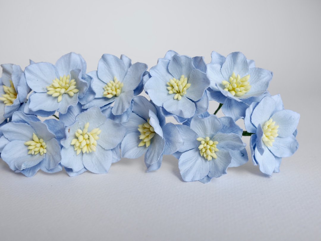 纸花，DIY手工用品，25片荷花，淡蓝色。 - 其他 - 纸 蓝色