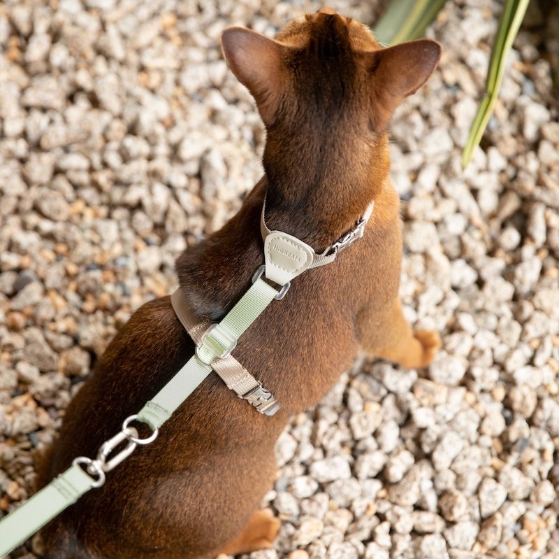 【HiDREAM】皮革拼色貓胸背牽引繩套裝 (多色) - 项圈/牵绳 - 尼龙 多色