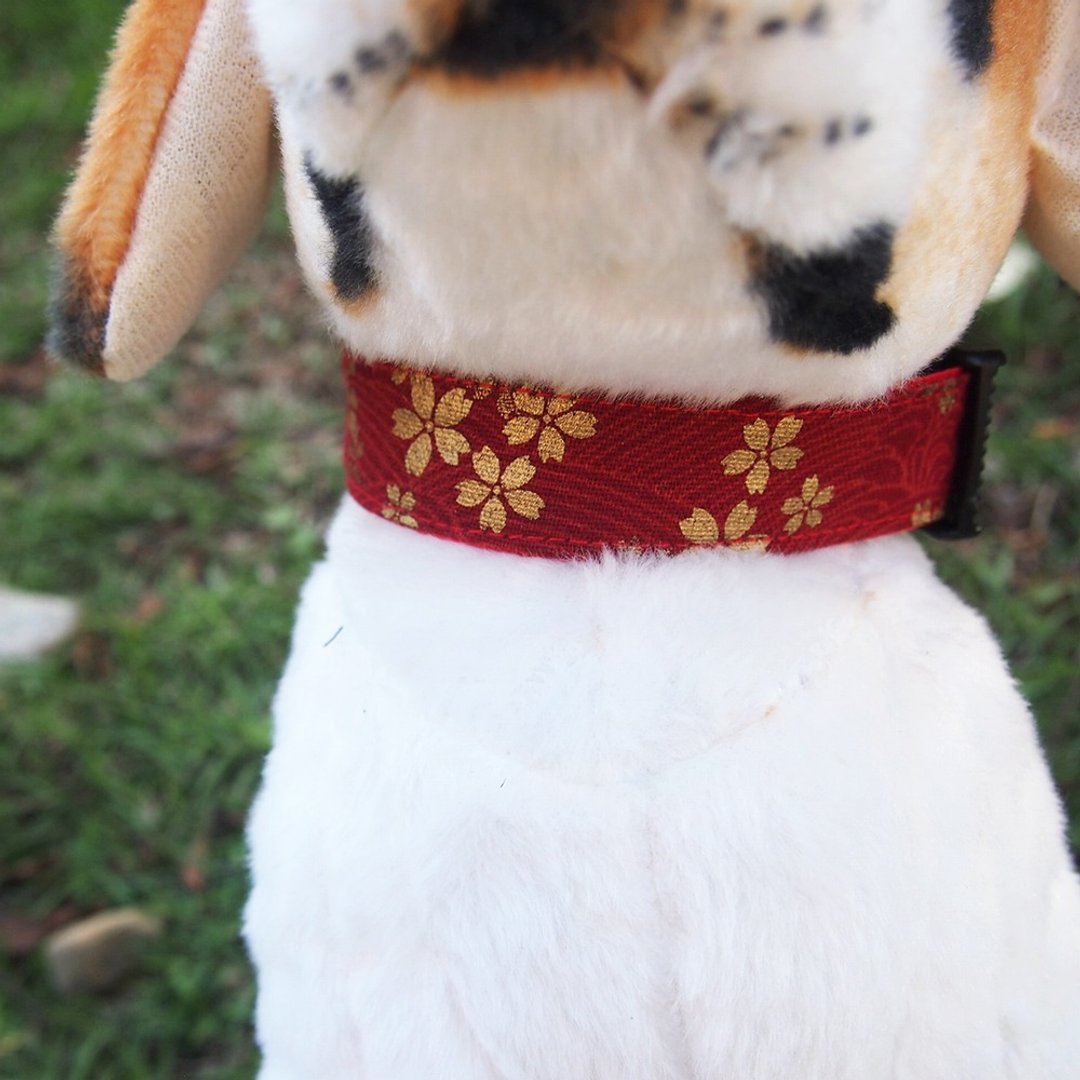 和风樱花款 犬用项圈 牵绳 - 项圈/牵绳 - 棉．麻 红色