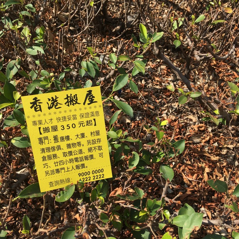 明信片 | #4 街招 - 卡片/明信片 - 纸 黄色