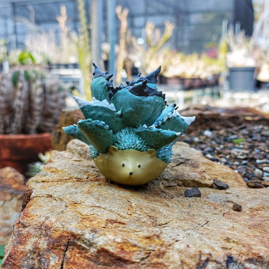 蓝球严龙刺猬 - 玩偶/公仔 - 树脂 蓝色