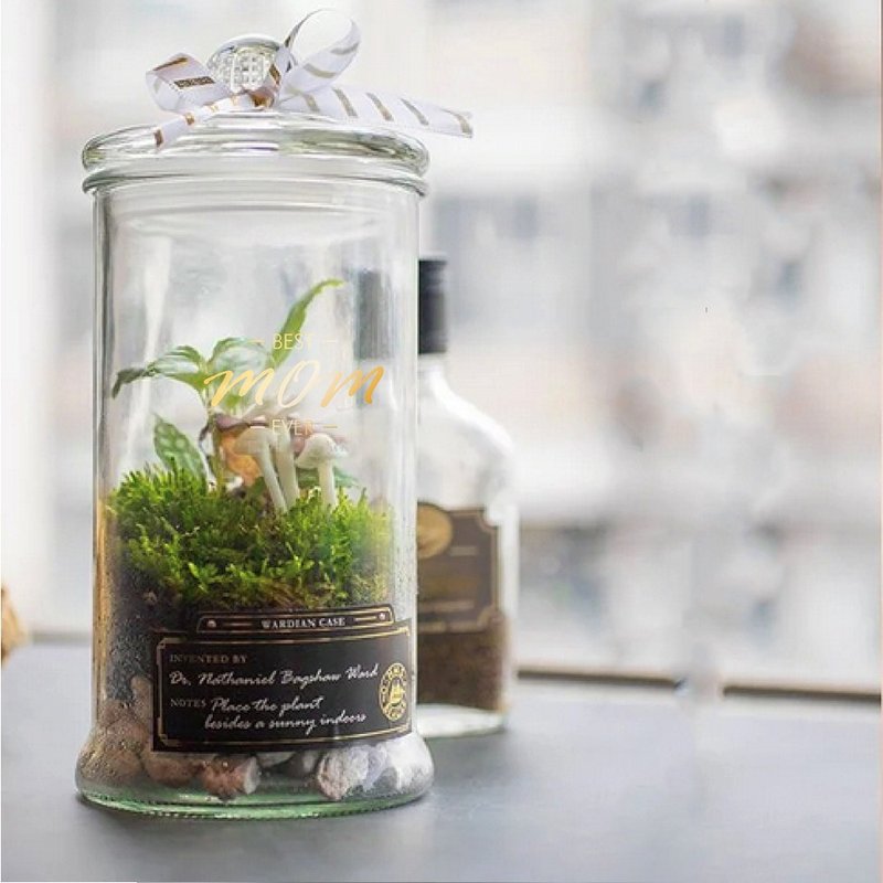 (大直)打造自己的华德箱/植物生态瓶【亲子班】12岁以下x1/大人x1 - 植栽 - 植物．花 