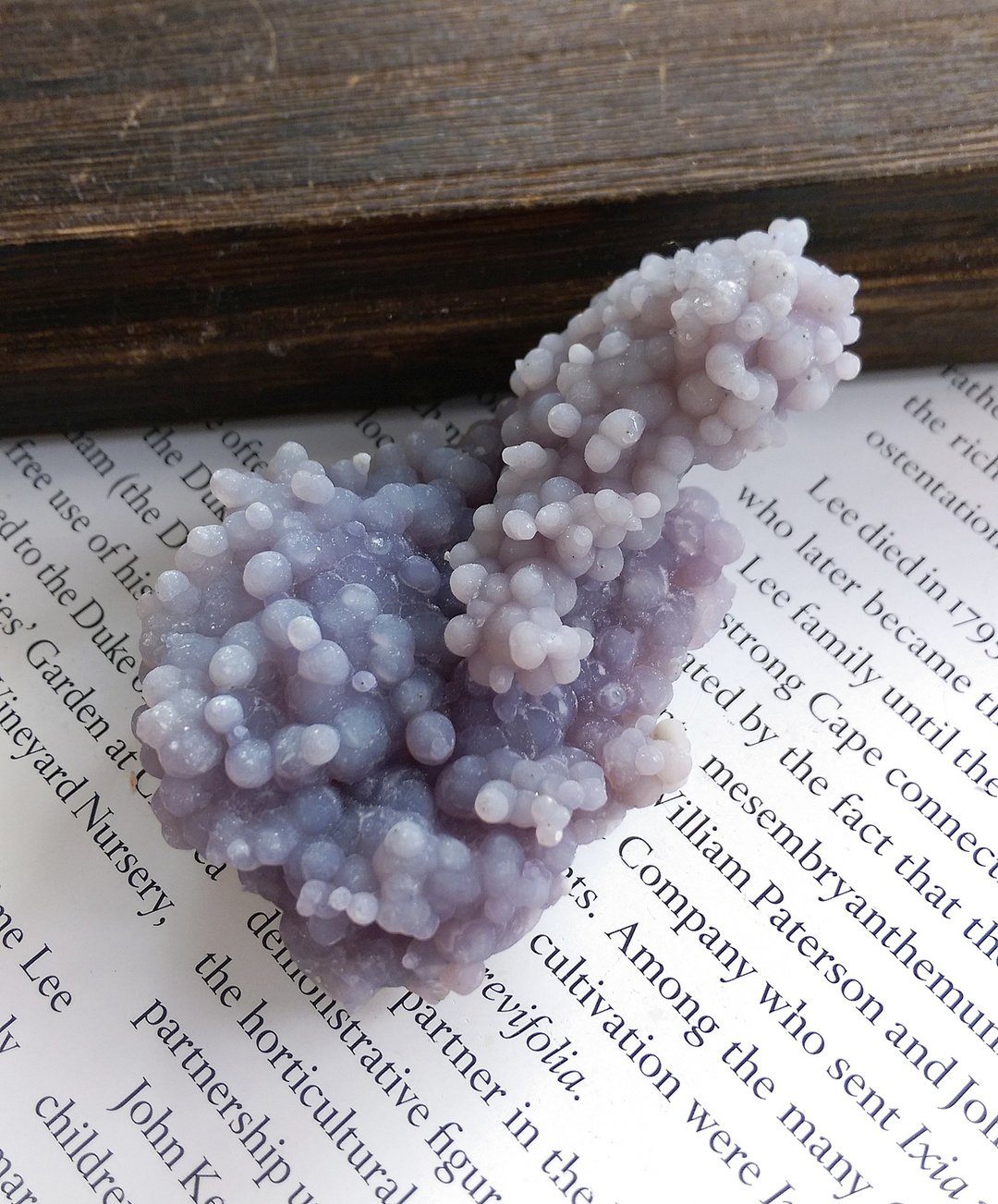 Grape Quartz 印尼产地 葡萄状 紫色石英 葡萄玛瑙 天然矿石 原矿 - 摆饰 - 其他材质 