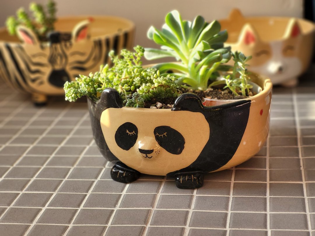Pottery panda handmade planter - 植栽/盆栽 - 陶 黑色