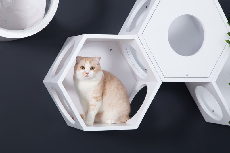 六角猫跳台 Busycat-白色 - 抓板/跳台 - 木头 