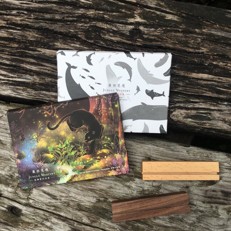 【丛林觅境系列/明信片24入双套组】台湾地景明信片 - 卡片/明信片 - 纸 多色