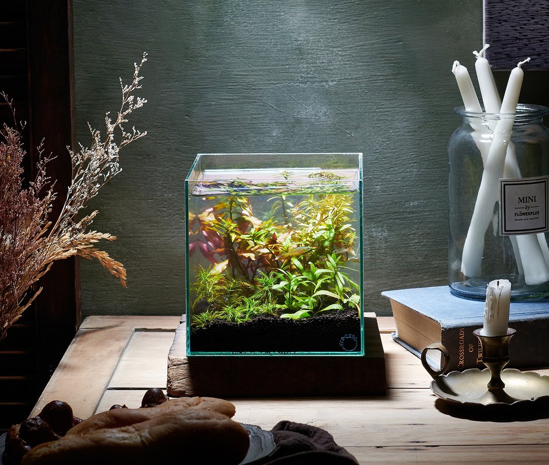 【ECO ZERO】 SE+ Cube 透明光科技 水族生态过滤鱼缸 打气套组 - 其他 - 玻璃 透明
