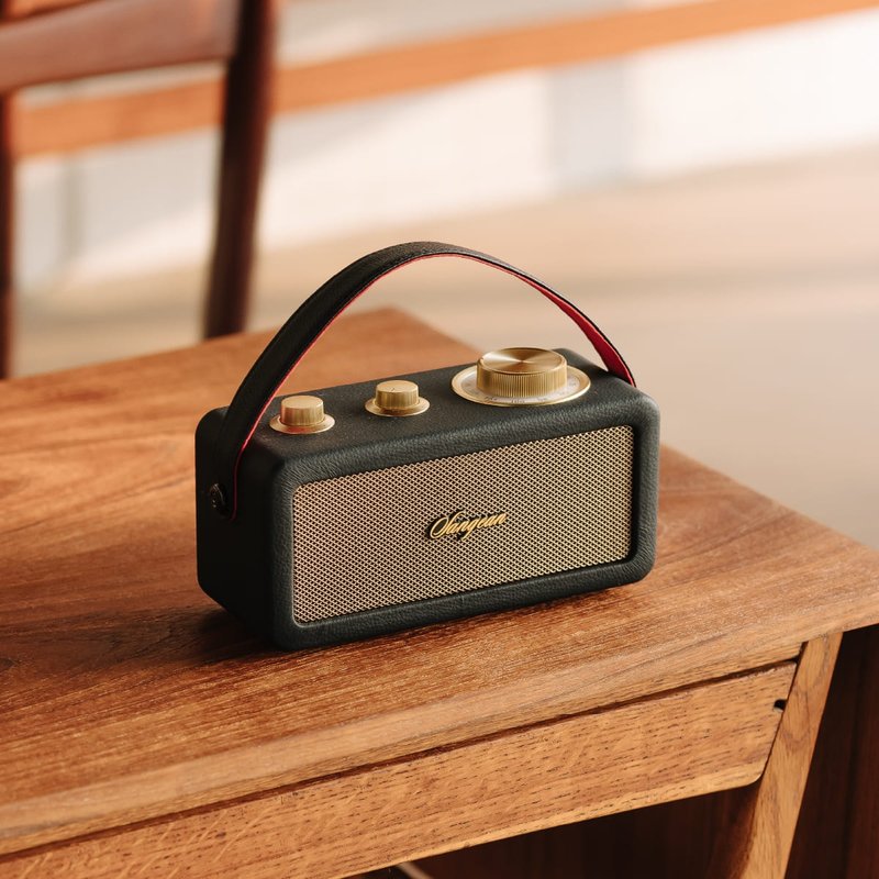 RA-101 调频/蓝牙喇叭 ( FM/Bluetooth ) - 扩音器/喇叭 - 其他材质 黑色