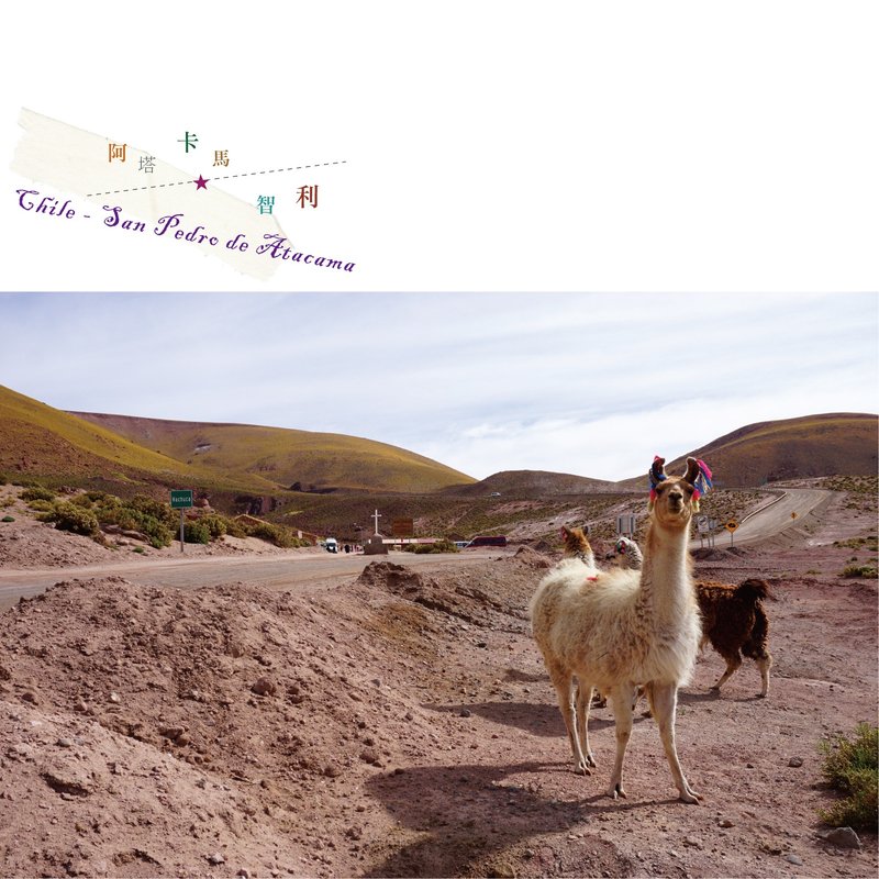 旅行摄影明信片 ★ 113 - 卡片/明信片 - 纸 