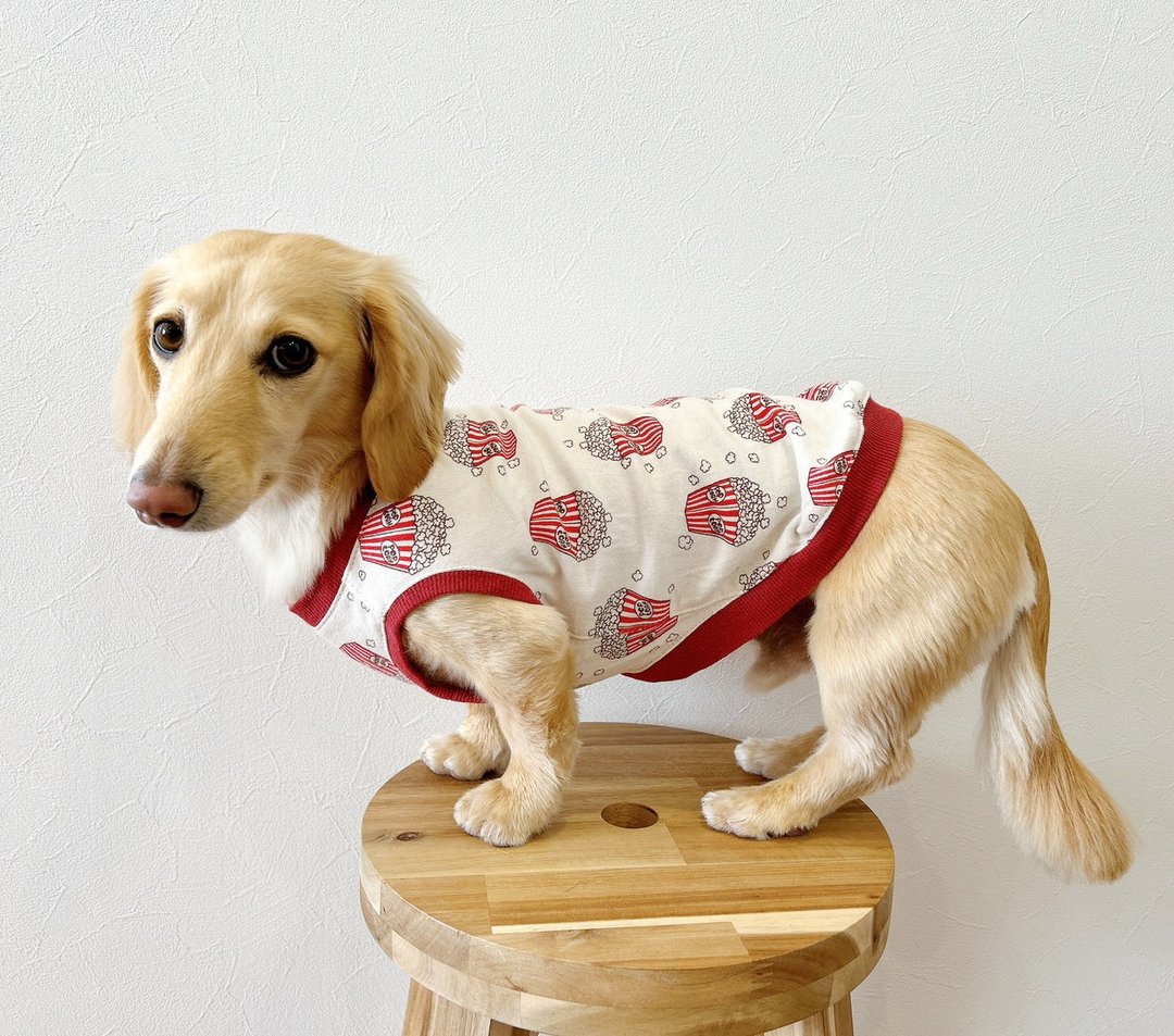 Ducks pattern dog wear long M size tank top tie popcorn pattern long type pet wear - 衣/帽 - 棉．麻 红色