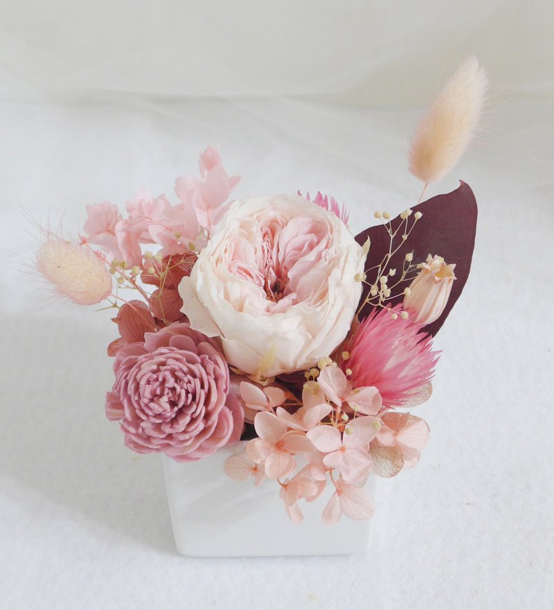 永生庭园玫瑰盆花 粉白 婚礼情人节开幕毕业升迁退休离职教师圣诞 - 干燥花/捧花 - 植物．花 粉红色