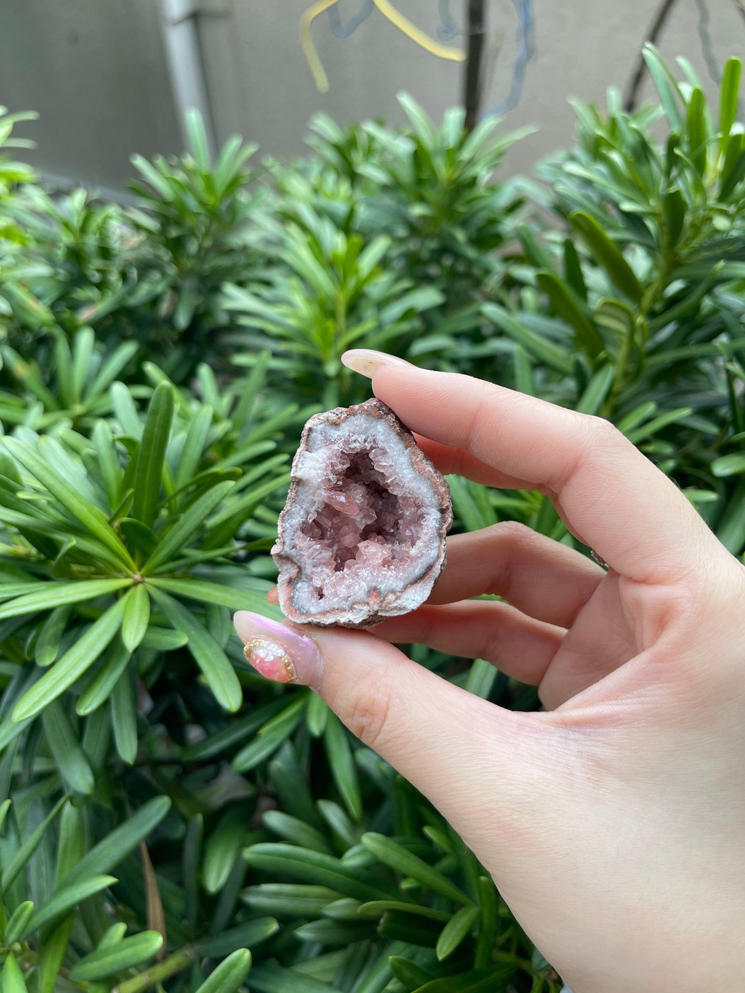 情人节礼盒 新罕有晶石 阿根廷粉晶洞 套装优惠价 送玻璃底座 - 摆饰 - 水晶 粉红色