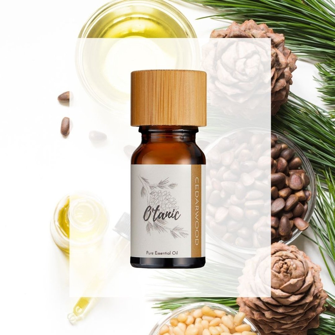 O'tanic【雪松精油】芳疗精油 / 天然精油 / 薰香精油 / 放松精油 - 香薰/精油/线香 - 精油 