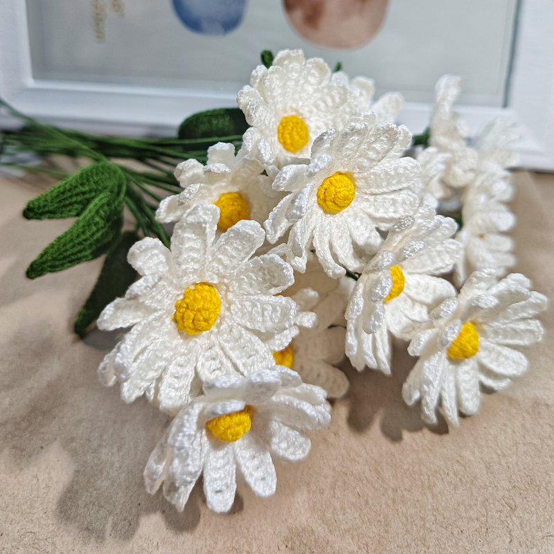 雏菊钩针 - 干燥花/捧花 - 其他材质 白色
