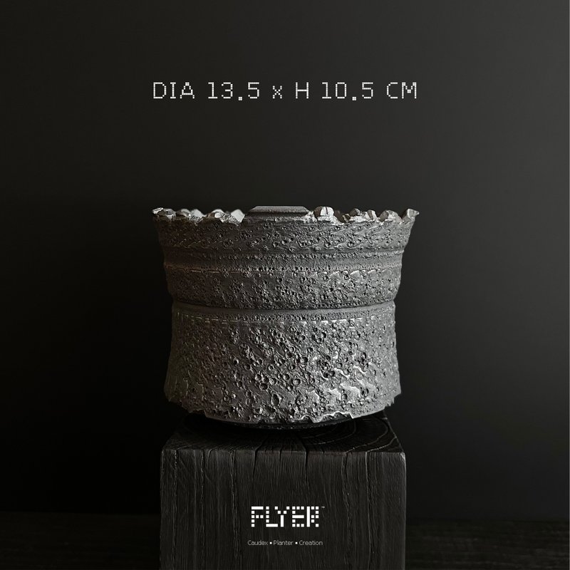 FLYER黑泥系列 块根多肉植物陶盆器 龙舌兰象牙宫盆器 - 花瓶/陶器 - 陶 