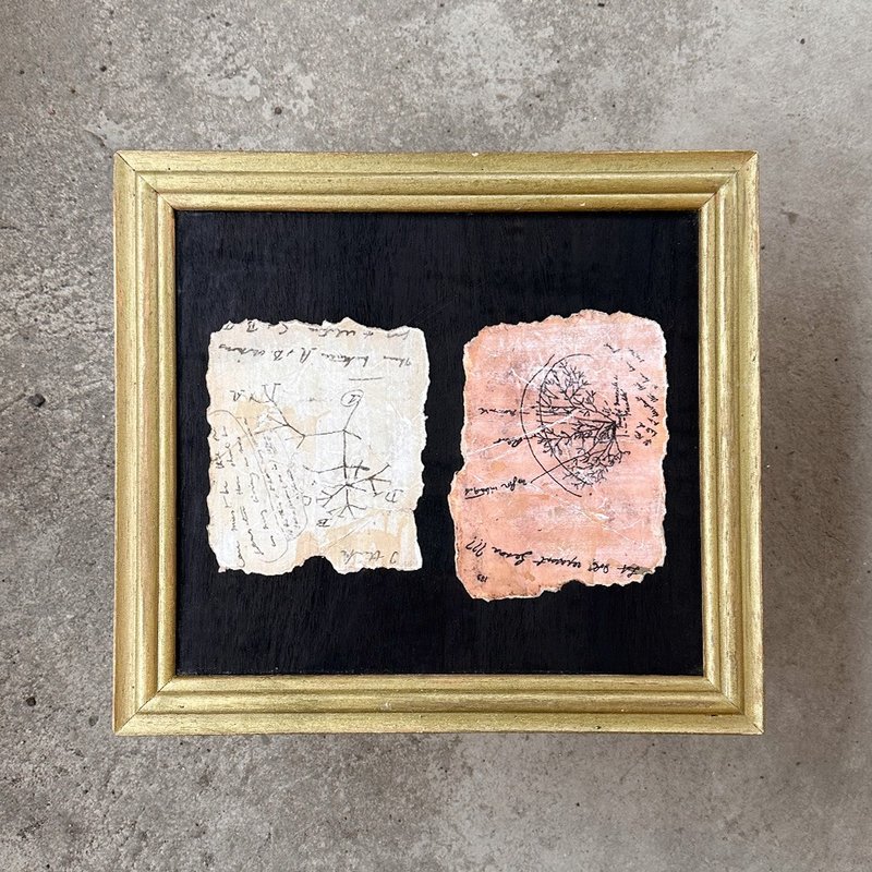 【 山人-压箱品 】达尔文生命树 Darwin Tree of Life _压箱藏品 - 海报/装饰画/版画 - 木头 