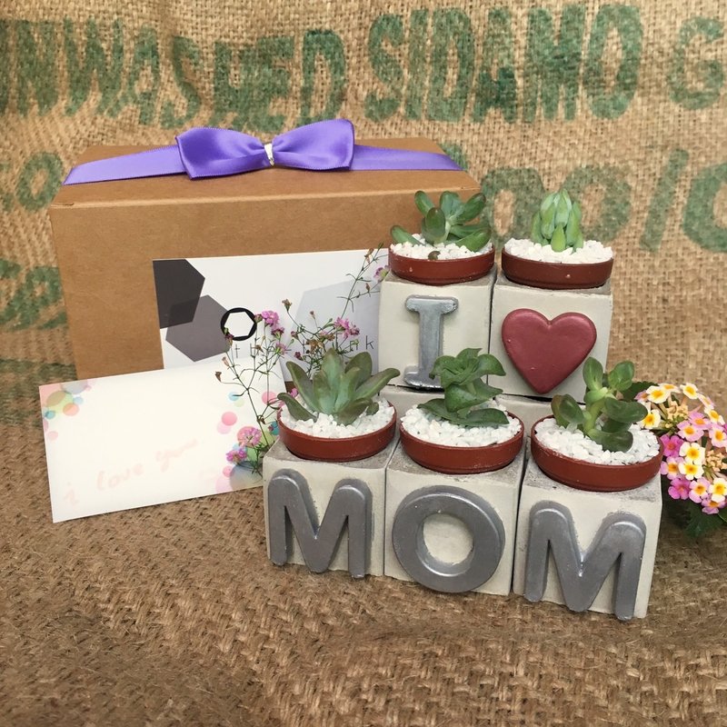 I LOVE MOM~!!我爱妈妈~母亲节多肉磁铁盆栽组 - 植栽/盆栽 - 水泥 粉红色