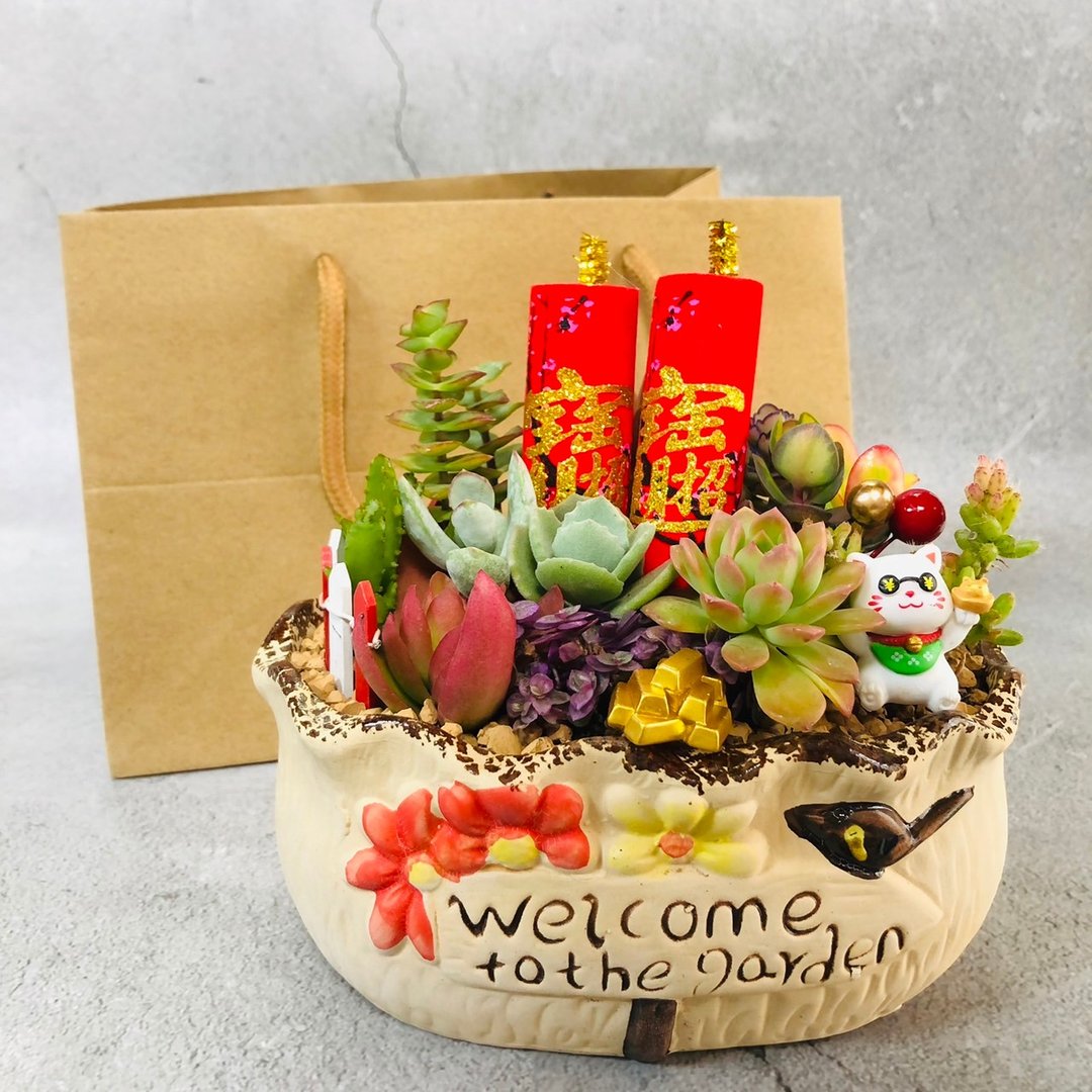 【新年盆栽】多肉植物/4款花盆/任选2款饰品(赠实体贺卡/纸袋) - 植栽/盆栽 - 其他材质 多色