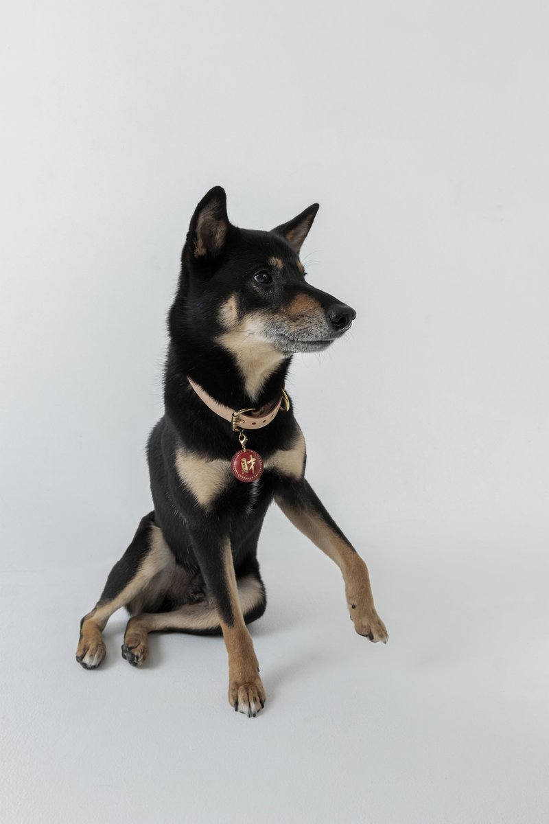 春福财发真皮吊饰 宠物 钥匙 配件  财字L尺寸 - 吊饰 - 真皮 红色