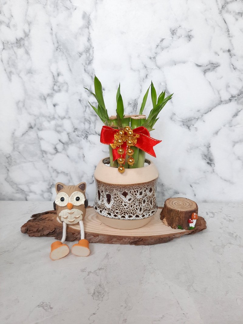 豹纹系列 开运竹 开幕送礼 居家摆件 办公室小物 礼物 盆栽 水耕 - 植栽/盆栽 - 瓷 卡其色