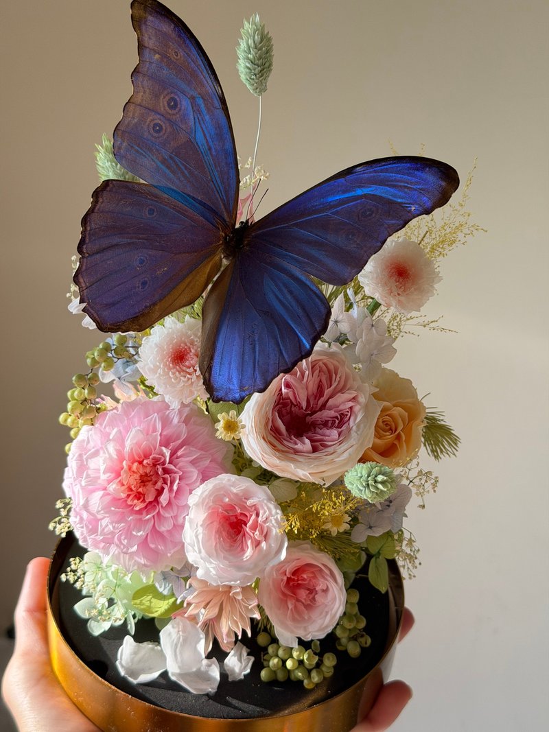 摩尔蓝闪蝶。永生花玻璃盅∣开幕∣情人节∣入厝∣纪念日∣退休∣ - 干燥花/捧花 - 植物．花 粉红色