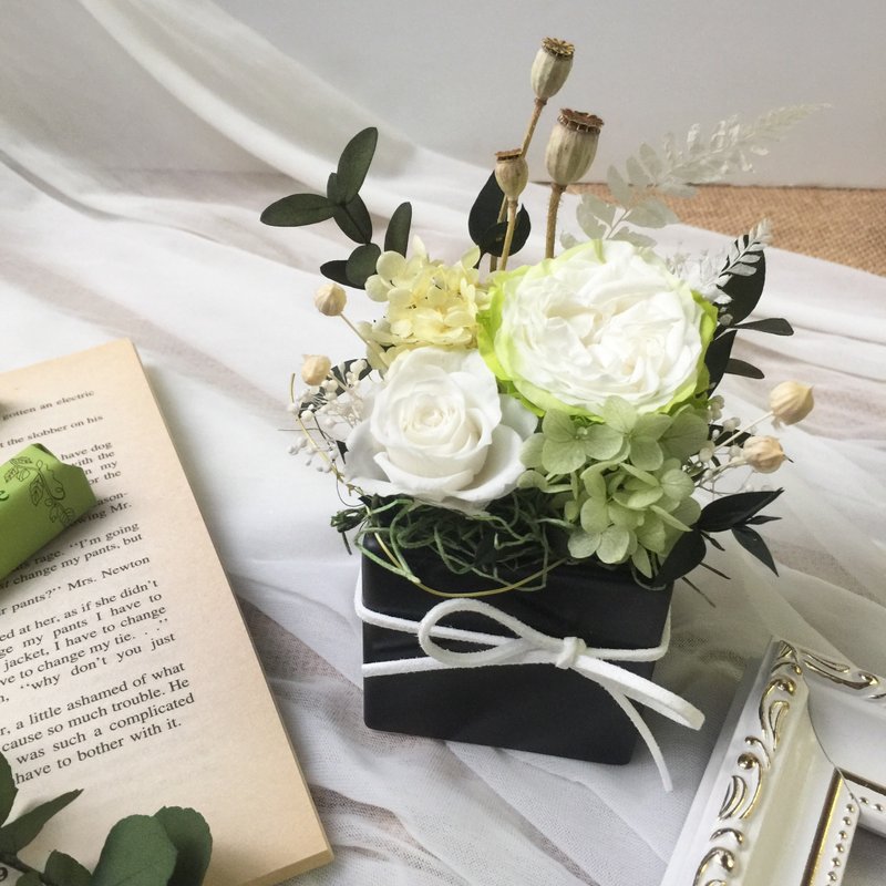 清新自然 白绿色不凋花礼 - 植栽/盆栽 - 植物．花 白色