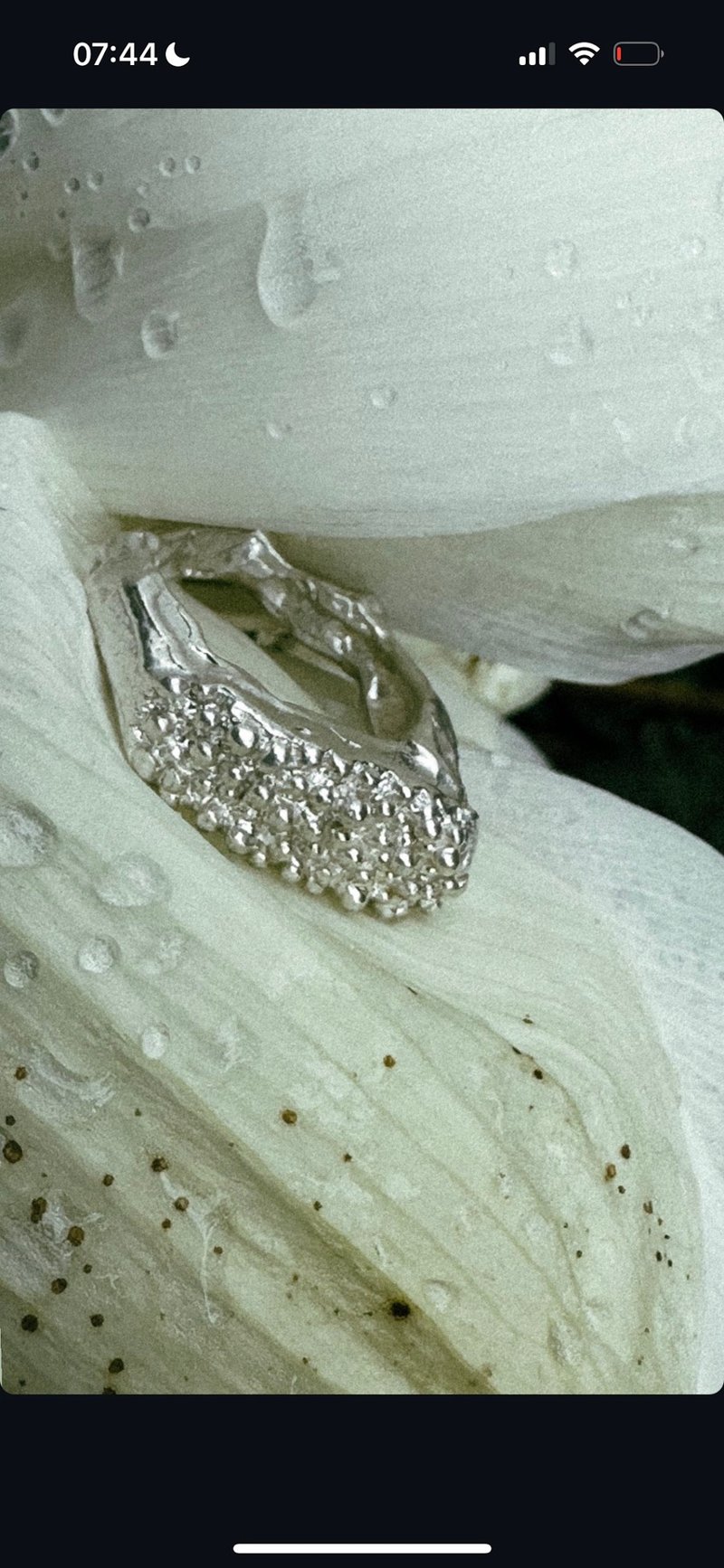 圆点戒指 - 戒指 - 纯银 