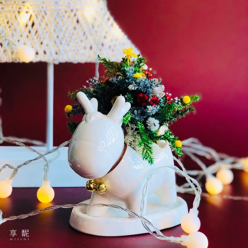 【DIY材料包】圣诞麋鹿 / 圣诞树 / 交换礼物 - 植栽 - 植物．花 