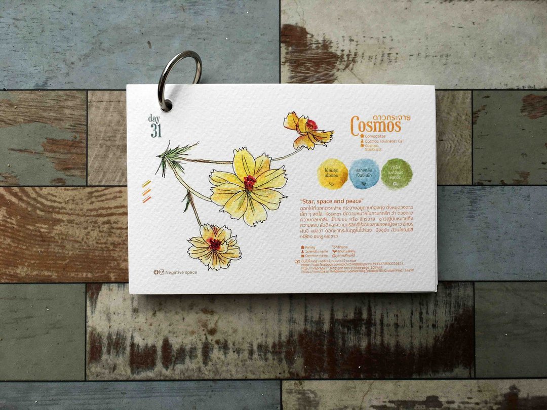 cosmos calendar card - 卡片/明信片 - 纸 
