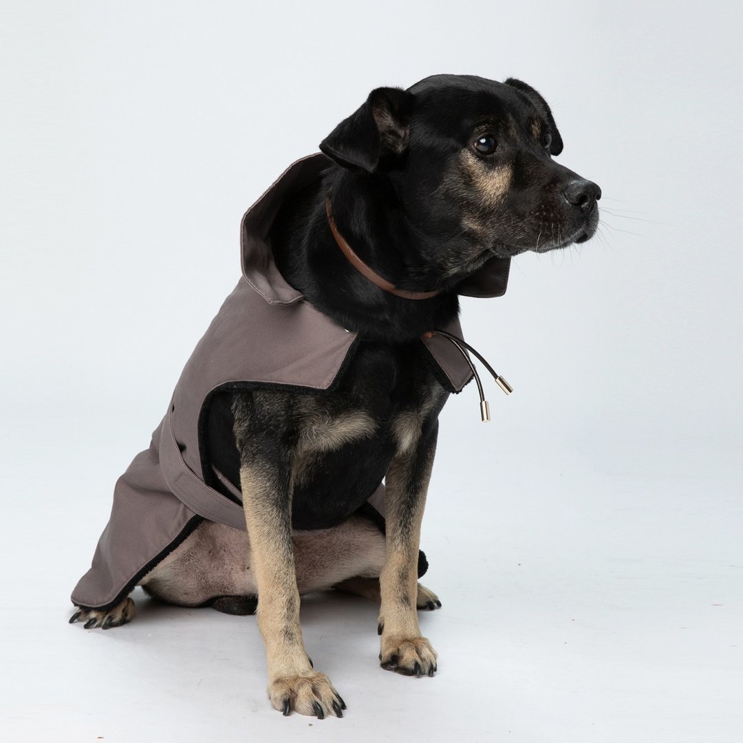 Pawfect-Fit! Jacket With Borg Lining 宠物铺毛外套 (L) - 衣/帽 - 棉 紫色