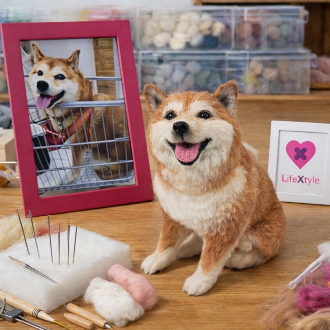 柴犬照片定制狗狗羊毛毡玩偶 彩虹桥回忆收藏 - 订制抱枕/饰品 - 羊毛 多色