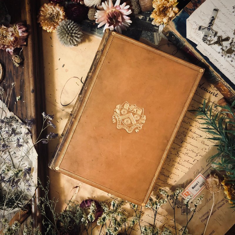 英国出版William Makepeace Thackeray百年文学Catherine全皮革书 - 其他 - 纸 金色