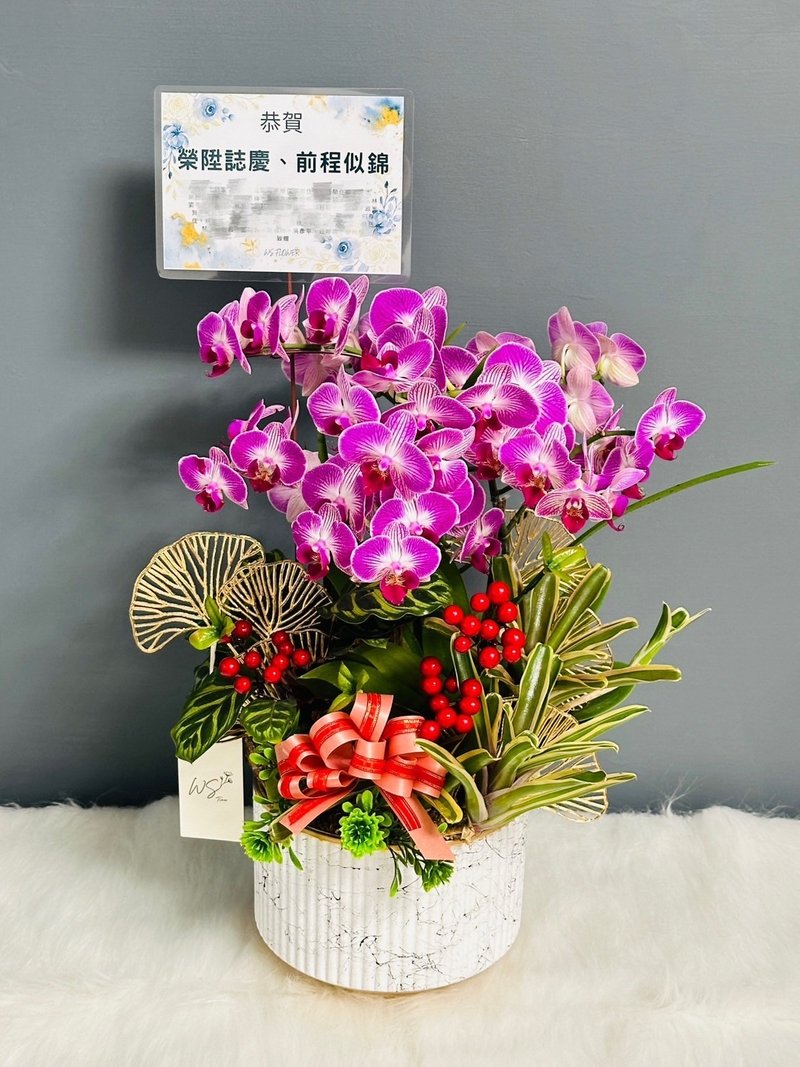 【WS │花束】升迁盆花 开幕花礼 新婚礼 可定制 限双北 七夕 - 植栽/盆栽 - 植物．花 