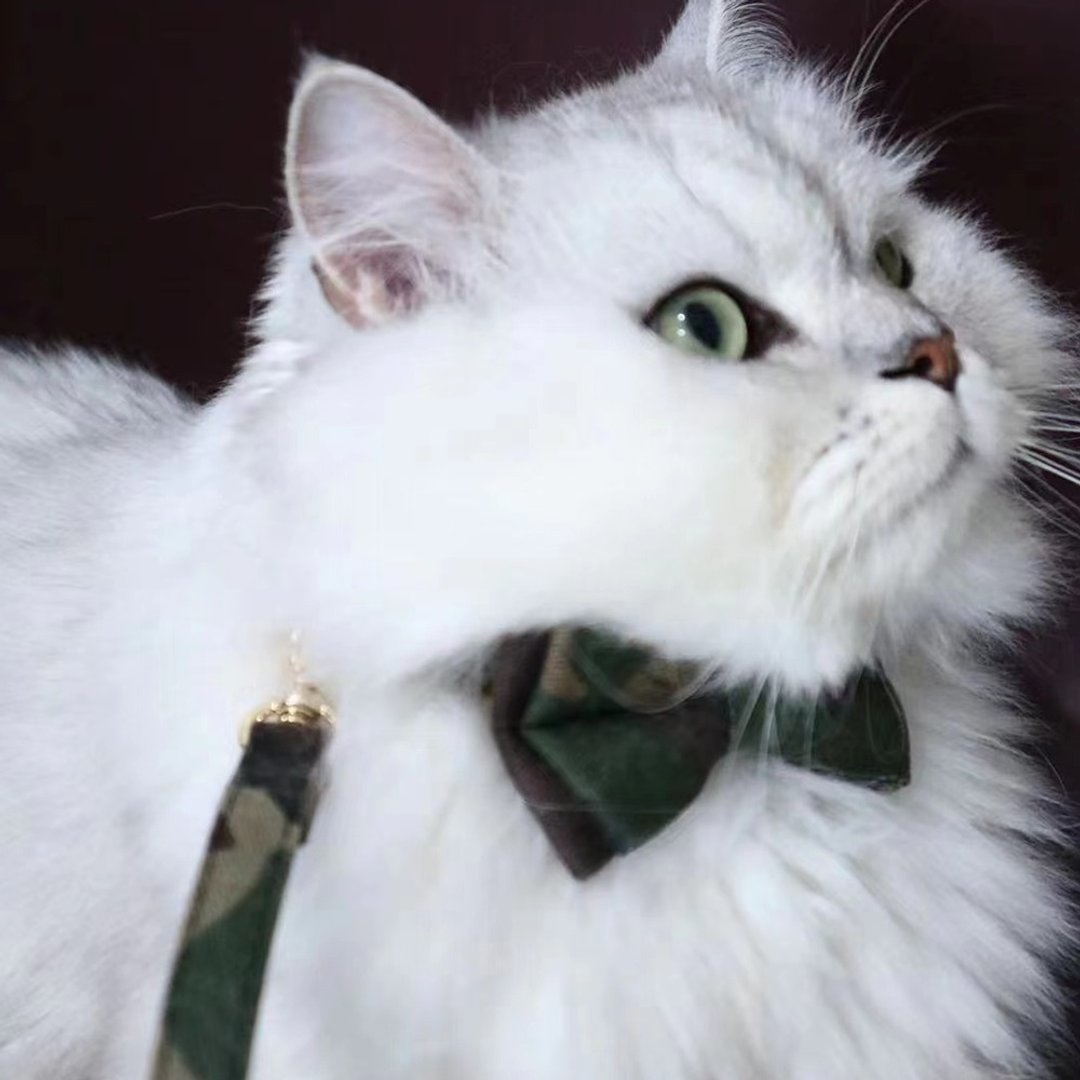 【iC原创】手工迷彩、撞色领结领带 猫狗同款牵引绳 - 项圈/牵绳 - 人造皮革 