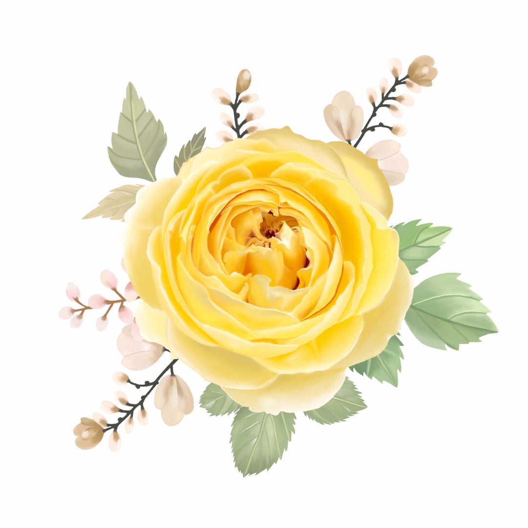 Free Shipping! Yellow Rose Set clipart - 插画/绘画/写字 - 其他材质 