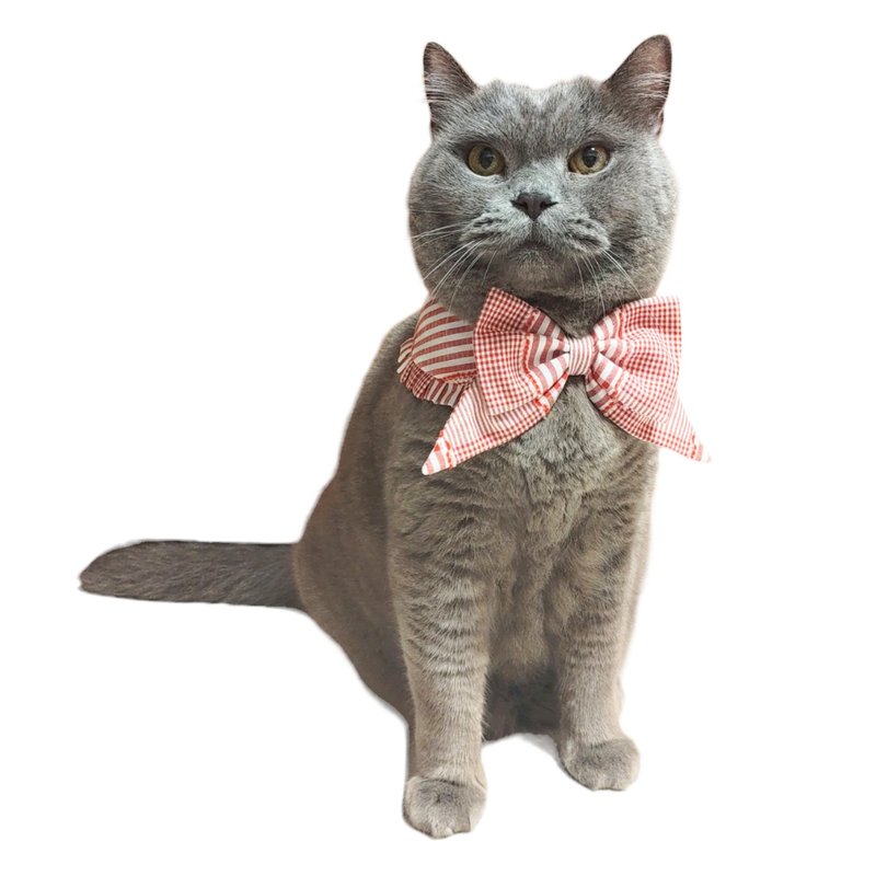 蝴蝶结领 - 格仔 (2色) - 衣/帽 - 棉．麻 多色