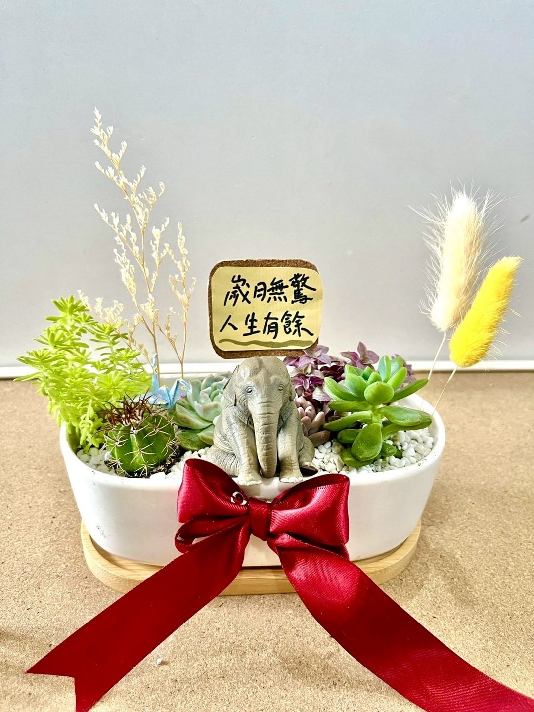 多肉组盆 多肉植物 日式枯山水 大象 满月送礼 成长的意象 祝福礼 - 植栽/盆栽 - 植物．花 绿色