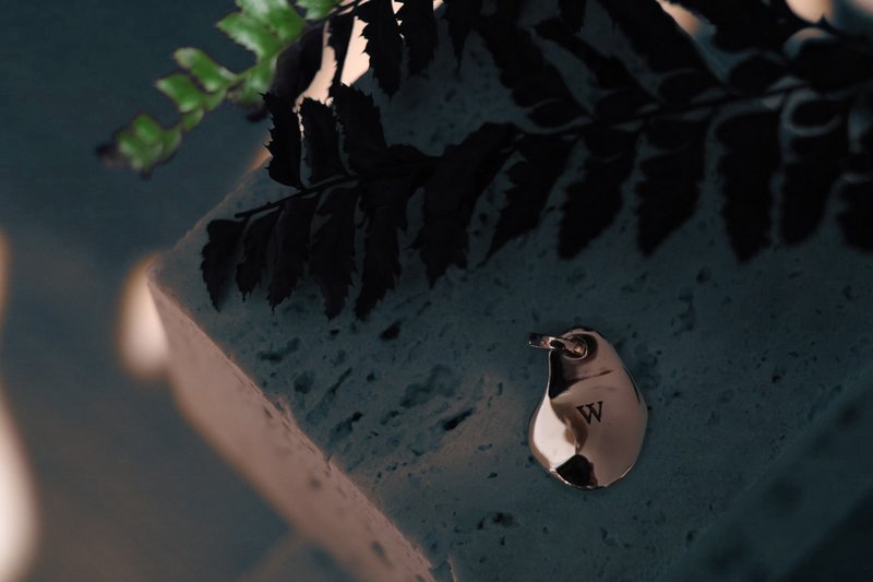 X系列 | X3吊坠 - 吊饰 - 银 