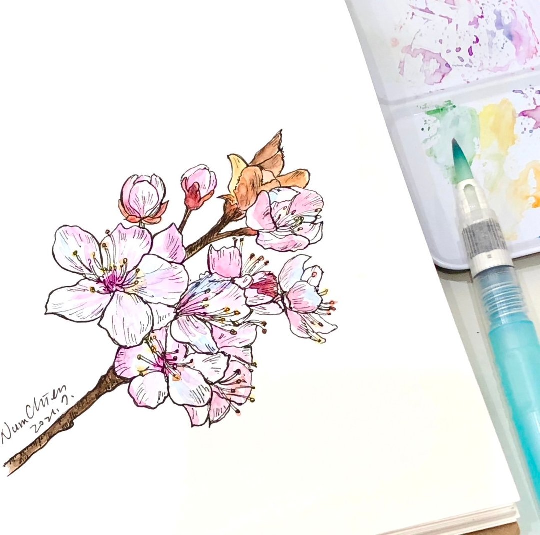 在线课程/水彩速写/樱花 - 线上课程/教学影片 - 其他材质 