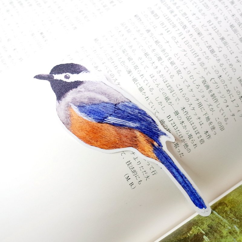 台湾特有种 白耳画眉 绘画PVC防水大贴纸 - 贴纸 - 防水材质 多色