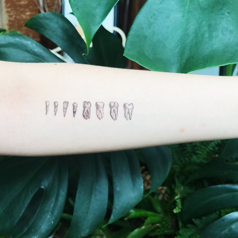 | 人体器官 | 2入纹身贴纸 花草系微刺青 牙齿 人脑 眼睛 心脏 - 纹身贴 - 纸 黑色