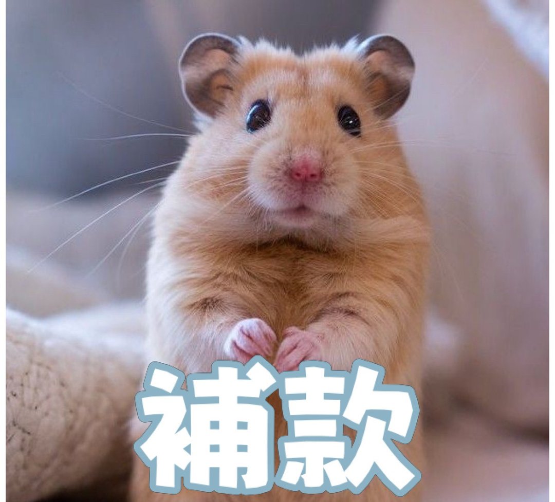 补款专用链接 - 手链/手环 - 其他材质 
