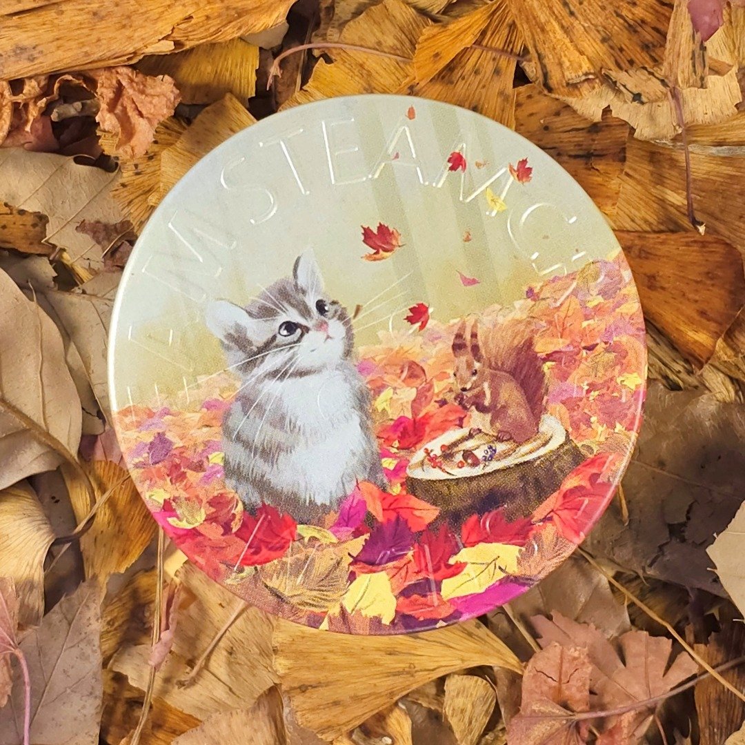 【秋天玩耍】1509 虎斑猫与蓬蓬松鼠 75g 送礼 - 日霜/晚霜 - 其他材质 
