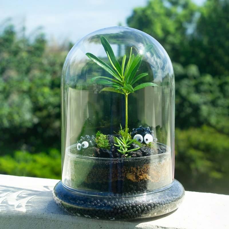 苔癣生态瓶体验-煤炭基地 生态瓶 体验 活动 微景观 - 植栽 - 植物．花 